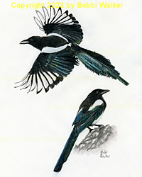 magpie-flight-stand